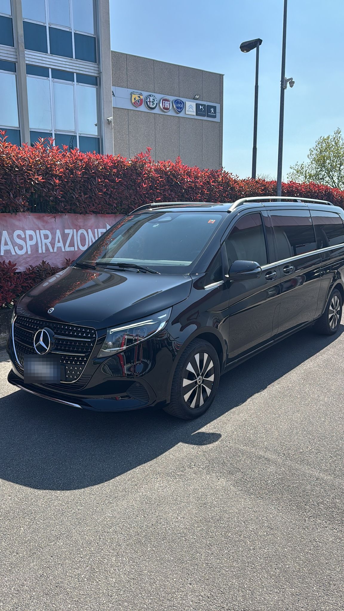 Cannes · tapis rouge